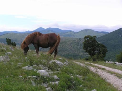 Blue * Bribir (Primorje-Gorski Kotar)